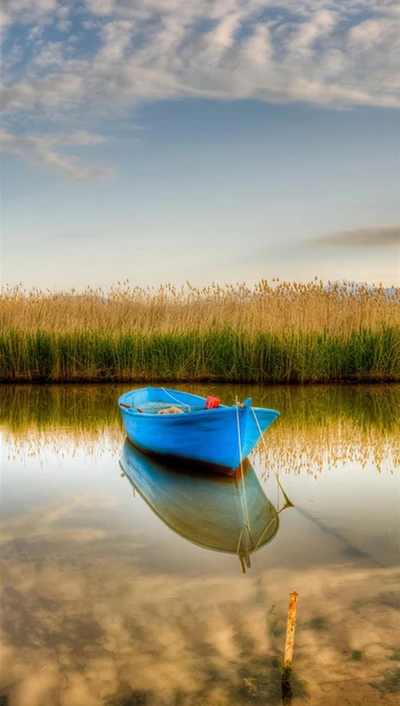 Réflexion sereine d'un vieux bateau bleu au milieu de roseaux luxuriants