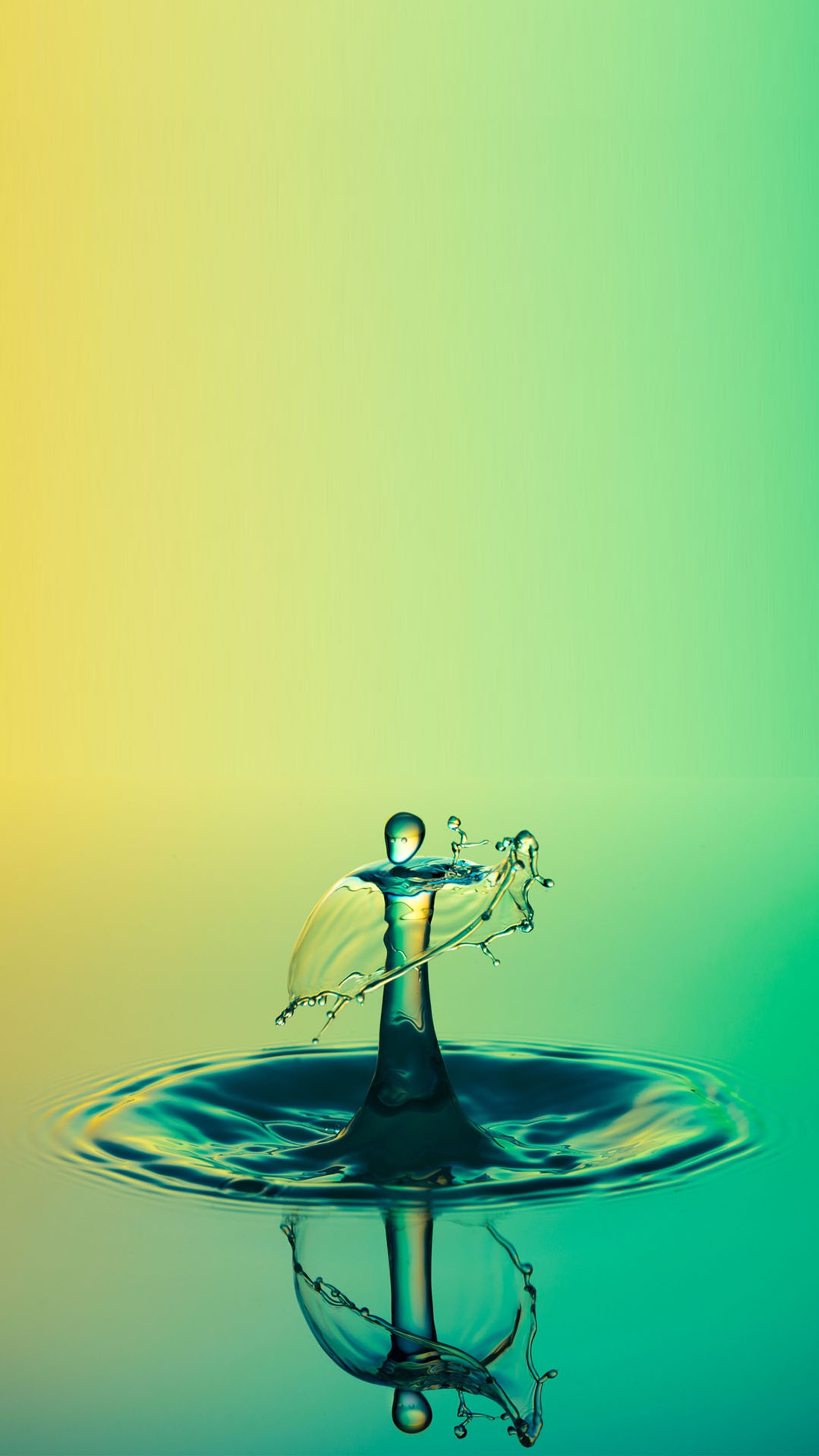 Un primer plano de una gota de agua con una hoja sobre ella (gota, agua)