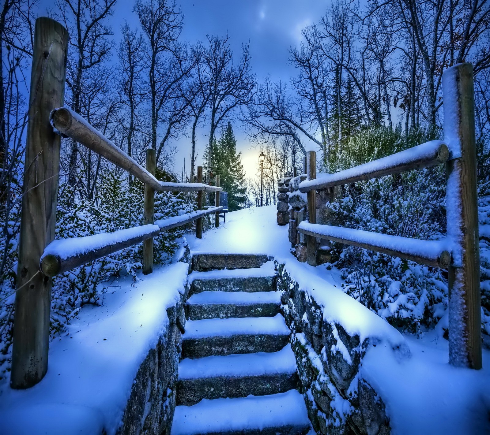 A close up of a wooden bridge with snow on the ground (fir, forest, night, snow, tree)