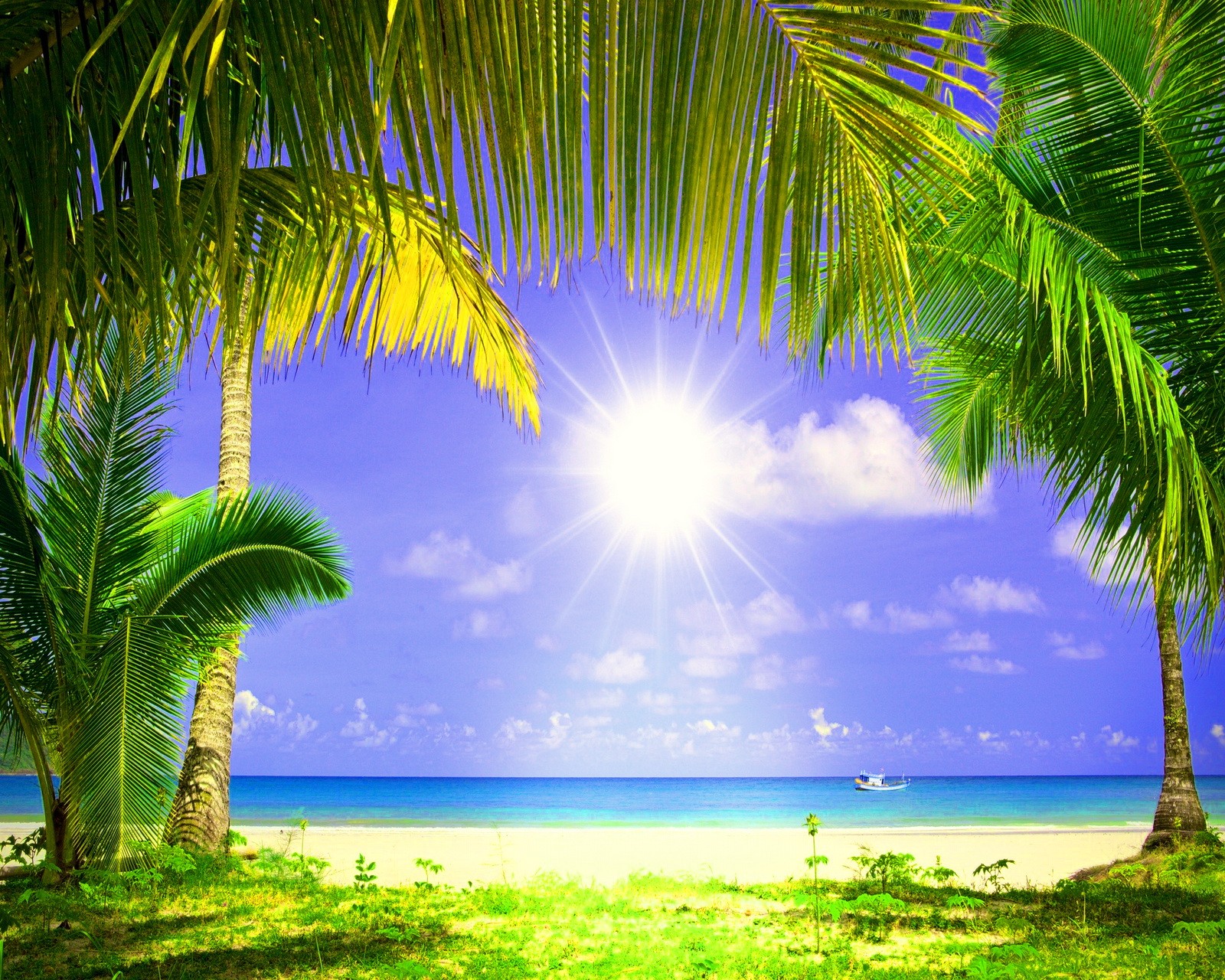 beach sun sky, nature paradise, tropical wallpaper