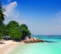 Serene Beach View with Lush Trees and Calm Ocean Waves