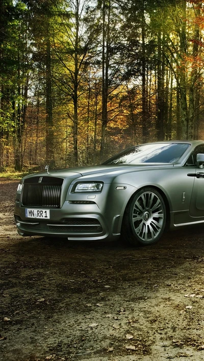 Eleganter Rolls Royce in einer ruhigen Waldumgebung.