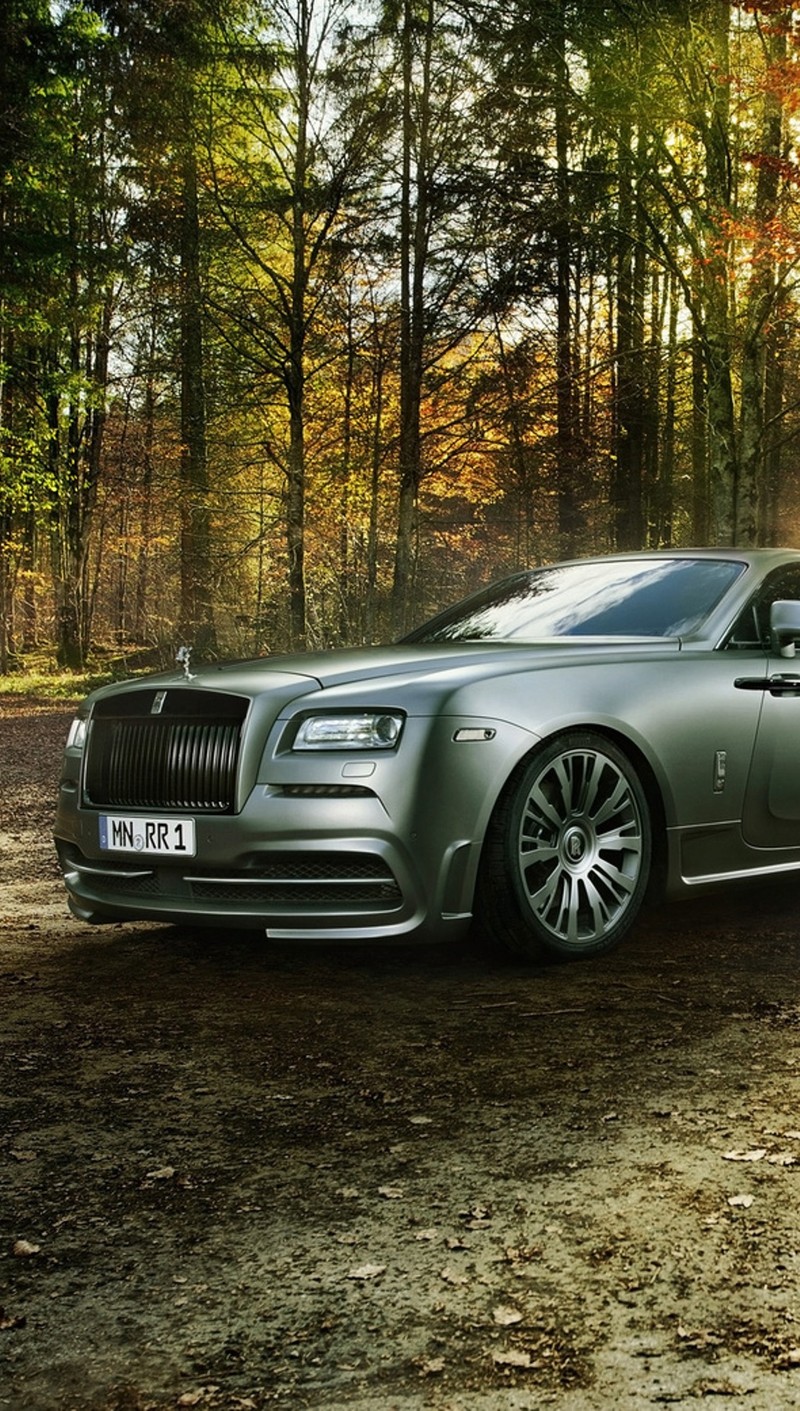 Крупный план серебристого rolls royce, припаркованного в лесу. (авто, машина, роллс ройс, rolls royce)