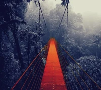 Ponte suspensa vermelha vibrante em meio a uma floresta verde exuberante