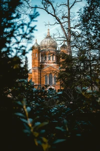 wahrzeichen, baum, architektur, gebäude, zweig