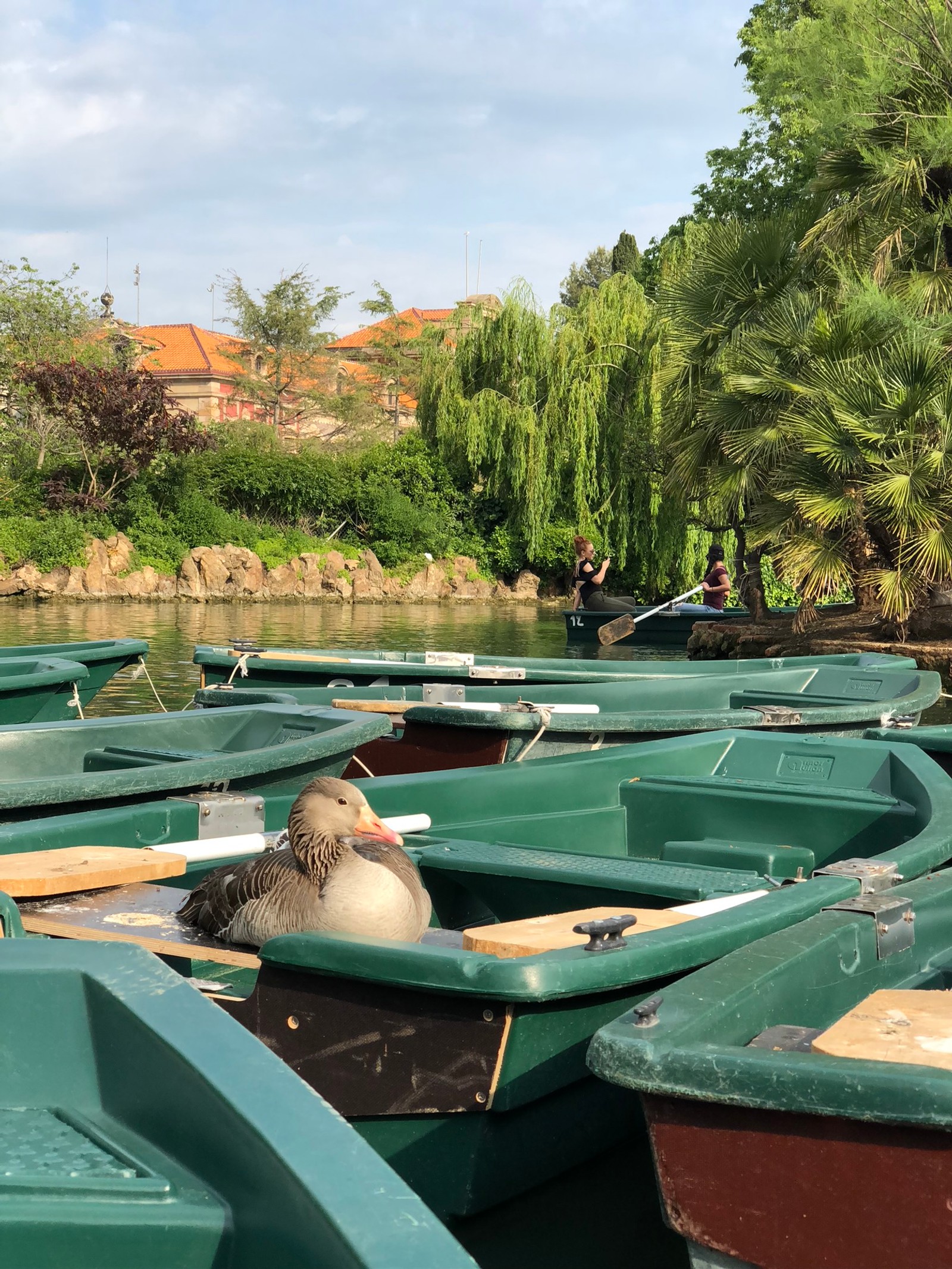 Baixar papel de parede água, piscina, barco, elemento de água, corpo de água