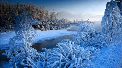 Paisaje invernal sereno con árboles cubiertos de escarcha y un río tranquilo