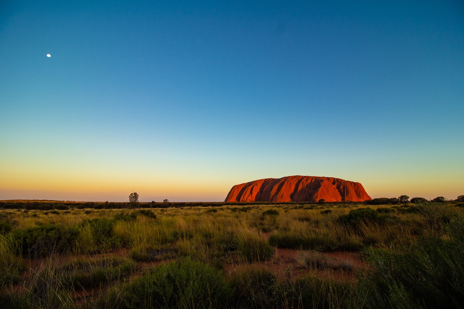 Una vista de una gran roca en medio del desierto (uluru, naturaleza, pradera, paisaje natural, llanura)