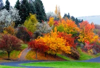 Lebendige Herbstlandschaft mit Laubbäumen und buntem Laub