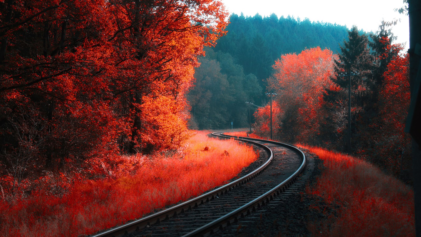 Lade herbst, wald, eisenbahn, landschaft Hintergrund herunter