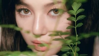 Danielle Marsh from NewJeans gazes captivatingly through lush greenery, embodying the essence of K-pop's charm and beauty.