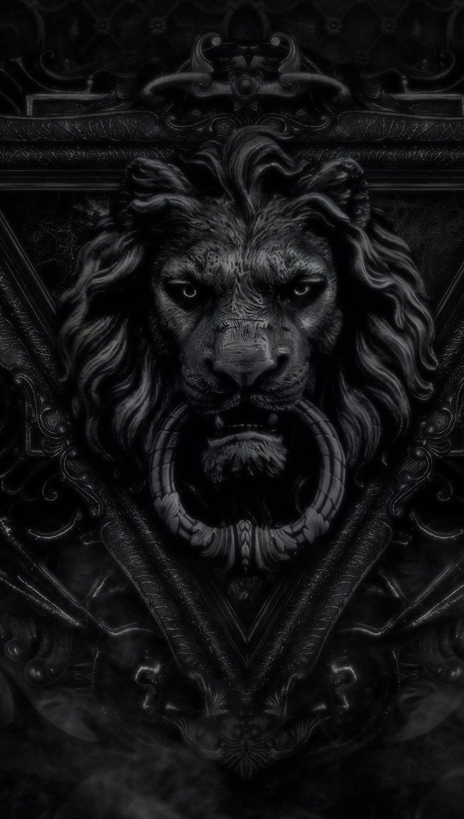 A close up of a lion's head on a black background (dark, door, lion)