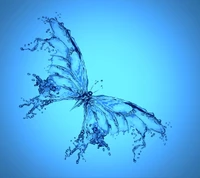 blue, butterfly, drops, splash, water wallpaper