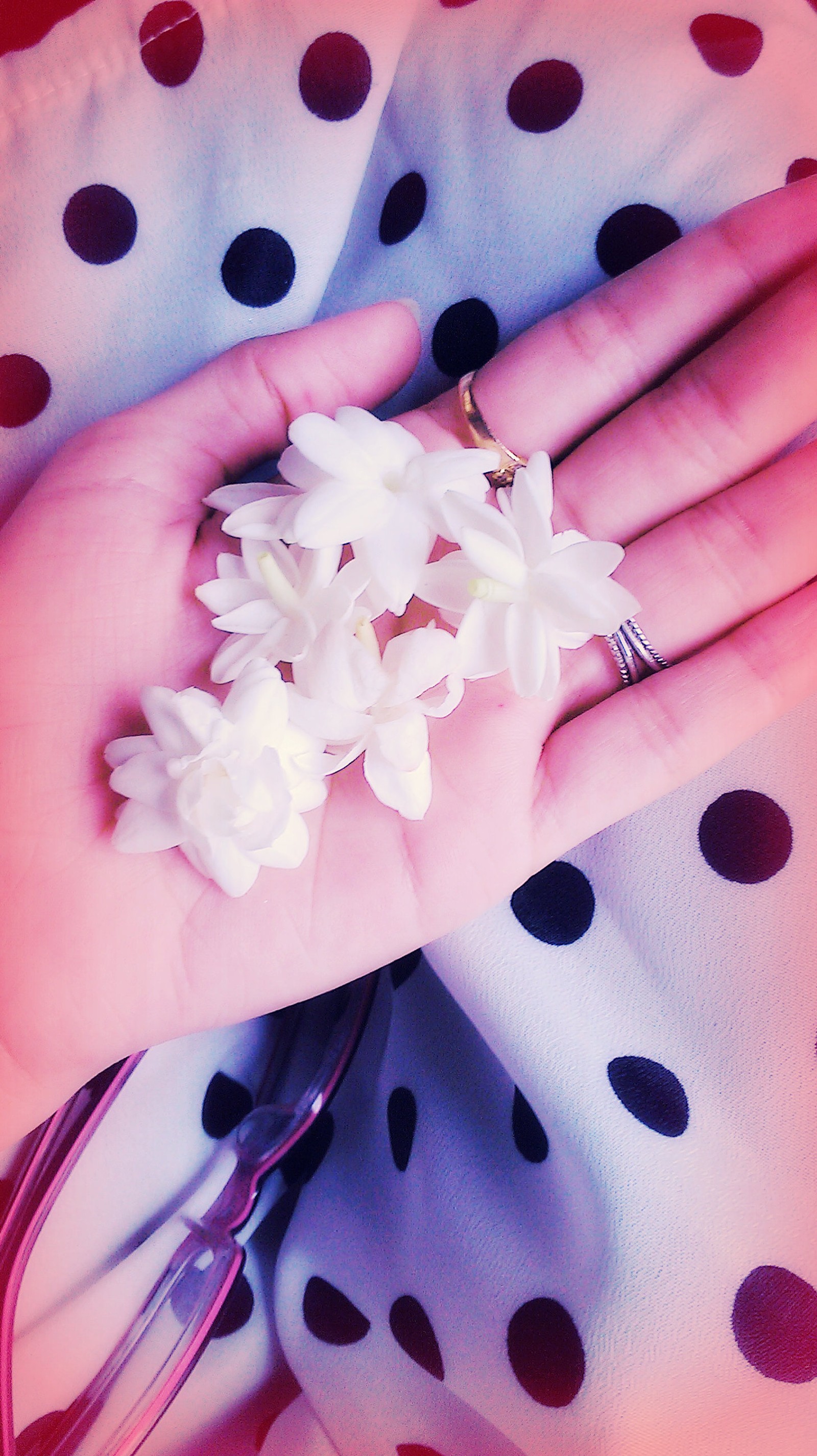 amazing, beautiful, beauty, flowers, hands wallpaper