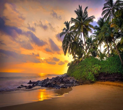 Paraíso tropical al atardecer con exuberantes palmeras y playa serena