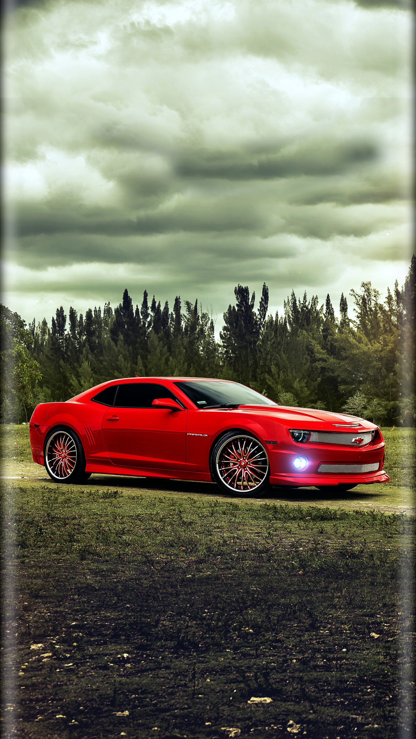 Arafed red sports car parked in a field with trees in the background (car, red)