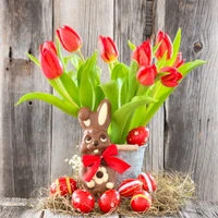 tulipes de lapin, célébration, décor, décoration, œuf