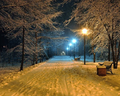 froid, génial, hd, nature, nouveau