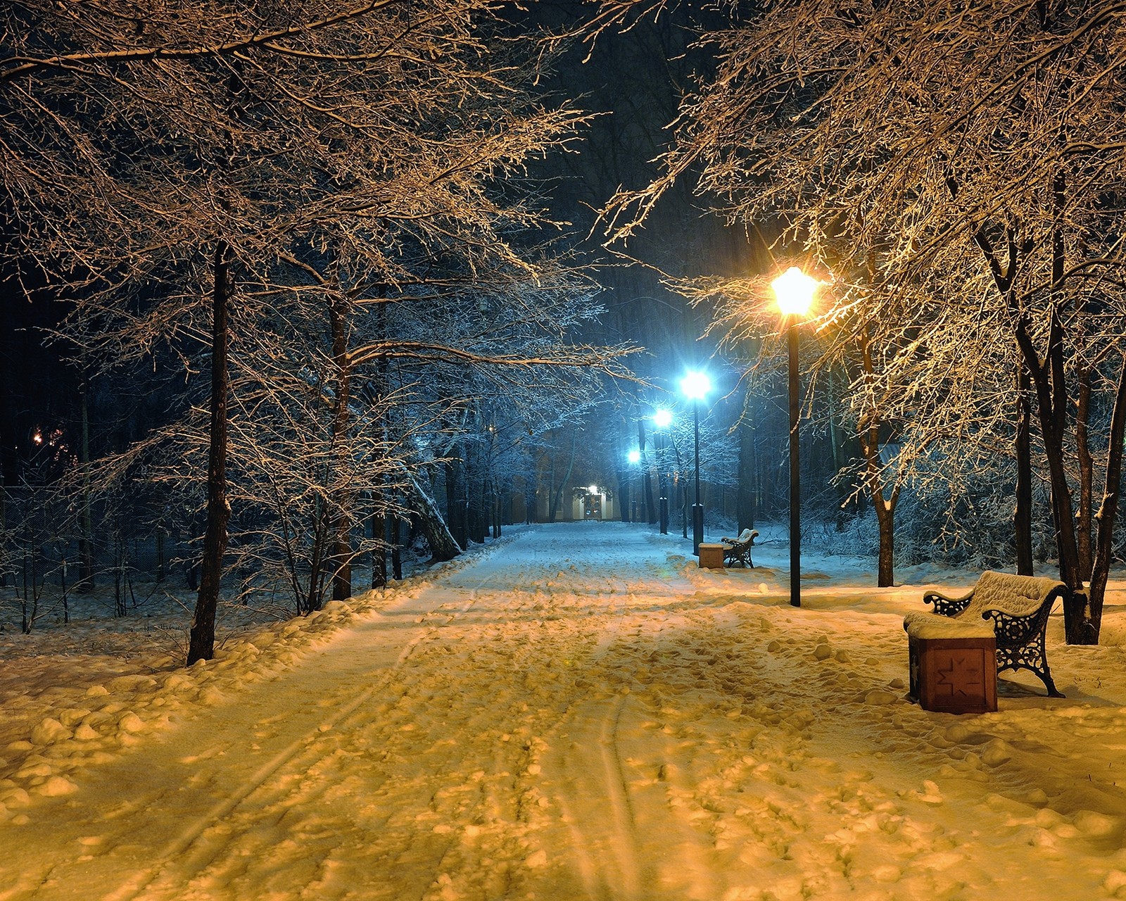 Ein verschneiter weg mit bänken und straßenlaternen in einem park bei nacht (kalt, klasse, hd, natur, neu)