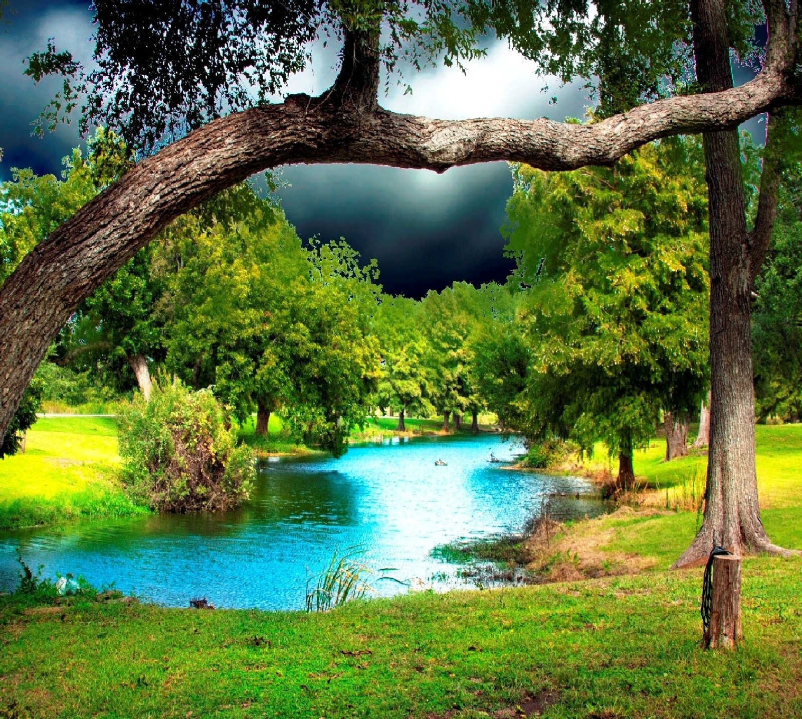 Uma vista de um rio correndo por uma floresta verde exuberante (natureza)