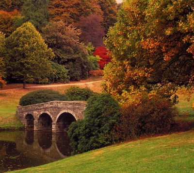 otoño, puente, hoja, hojas, árbol