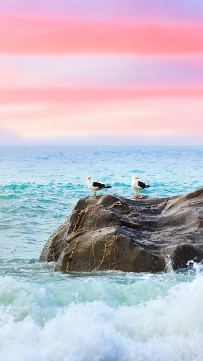 Gaivotas em uma costa rochosa contra um céu vibrante rosa e azul.