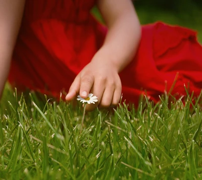 Menina em vestido vermelho segurando suavemente uma flor na grama verde fresca