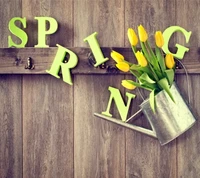 Frühling Tulpenstrauß in einer Gießkanne