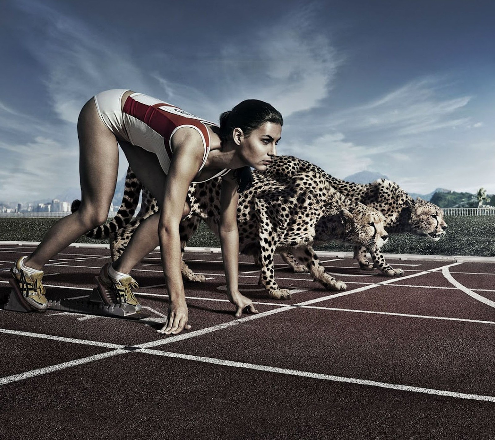 There are two cheetah running on a track with a woman (cheetah, f1, race, road, speed)