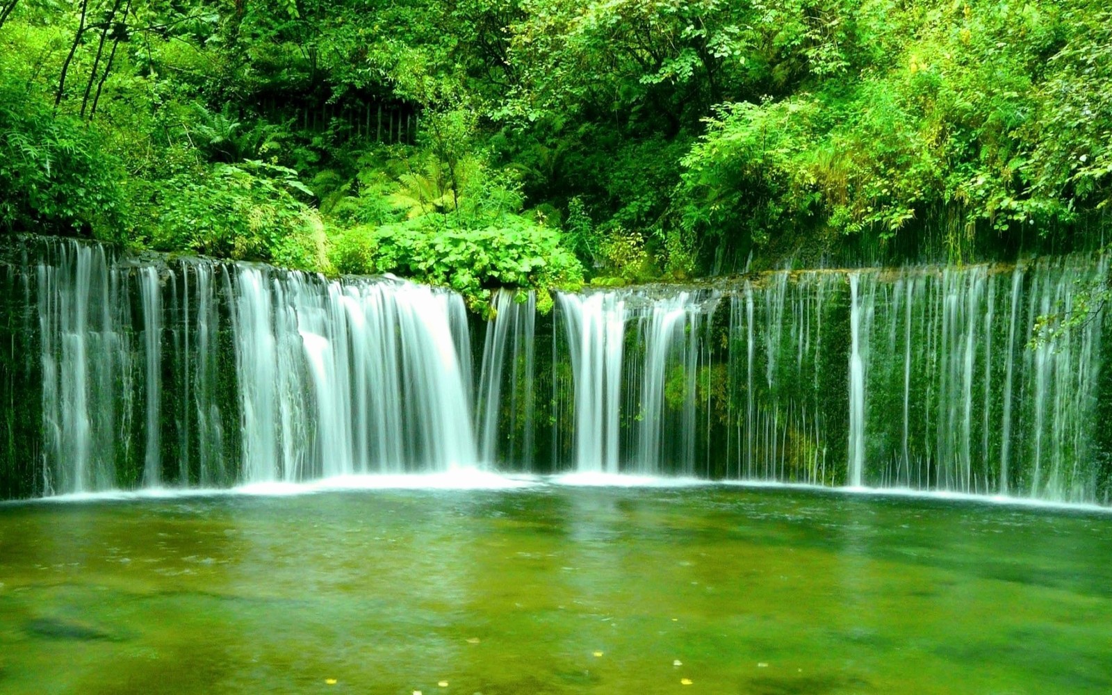 A waterfall in the middle of a forest with green water (waterfall, water resources, body of water, nature, nature reserve)