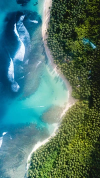 Aerial view of a vibrant coastline with lush vegetation meeting azure waters and gentle waves.