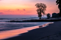 Gelassener Strand Sonnenuntergang mit silhouettierter Baum und sanften Wellen