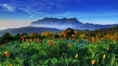 Flores silvestres vibrantes contra un majestuoso paisaje montañoso