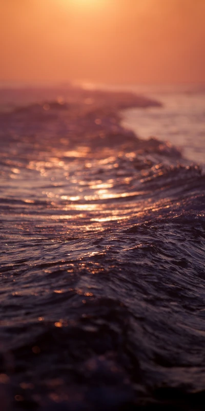 Amber Waves at Dusk: Reflective Sea Afterglow