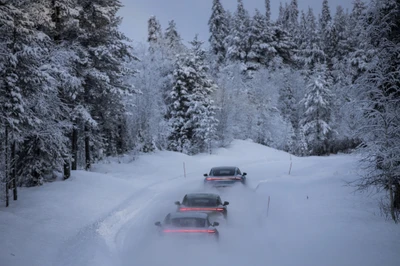 Porsche Taycan fährt durch einen verschneiten Waldweg