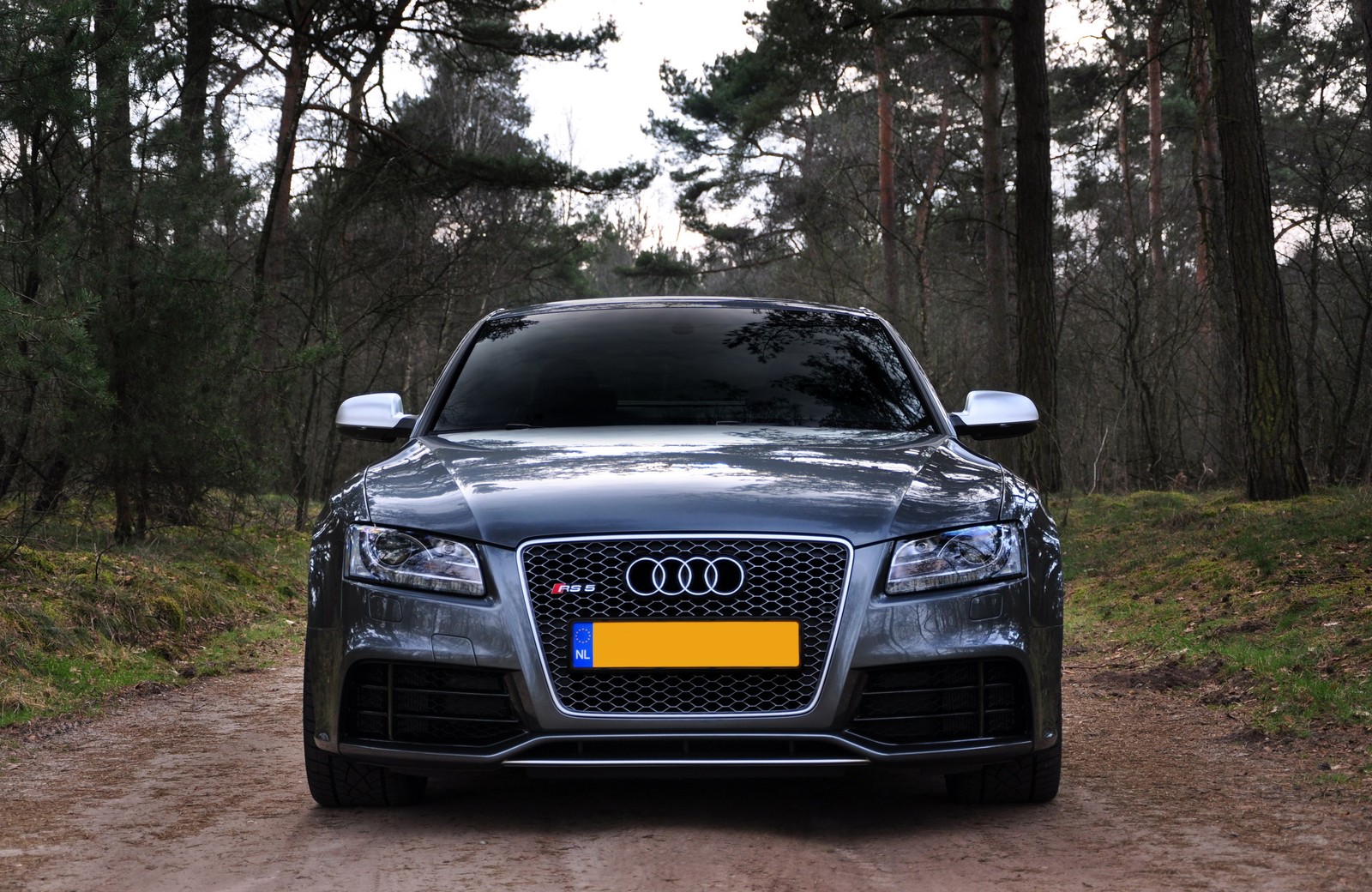 A grey audi parked on a dirt road in the woods (audi, car, audi rs5, bumper, audi s4)