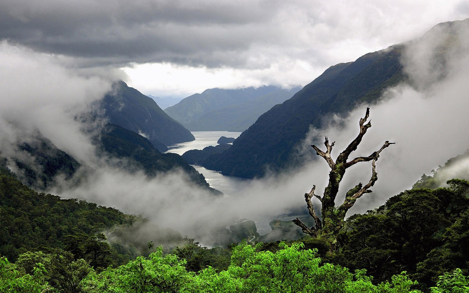 Взгляд на озеро и горы с холма (милфорд саунд, milford sound, фьорд, горные образования, гора)