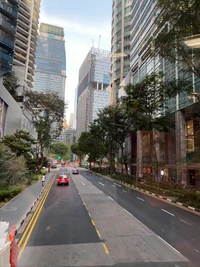 Paisaje urbano de San Francisco: Condominios altos a lo largo de una carretera concurrida