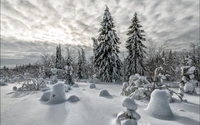 Bosque invernal sereno cubierto de nieve