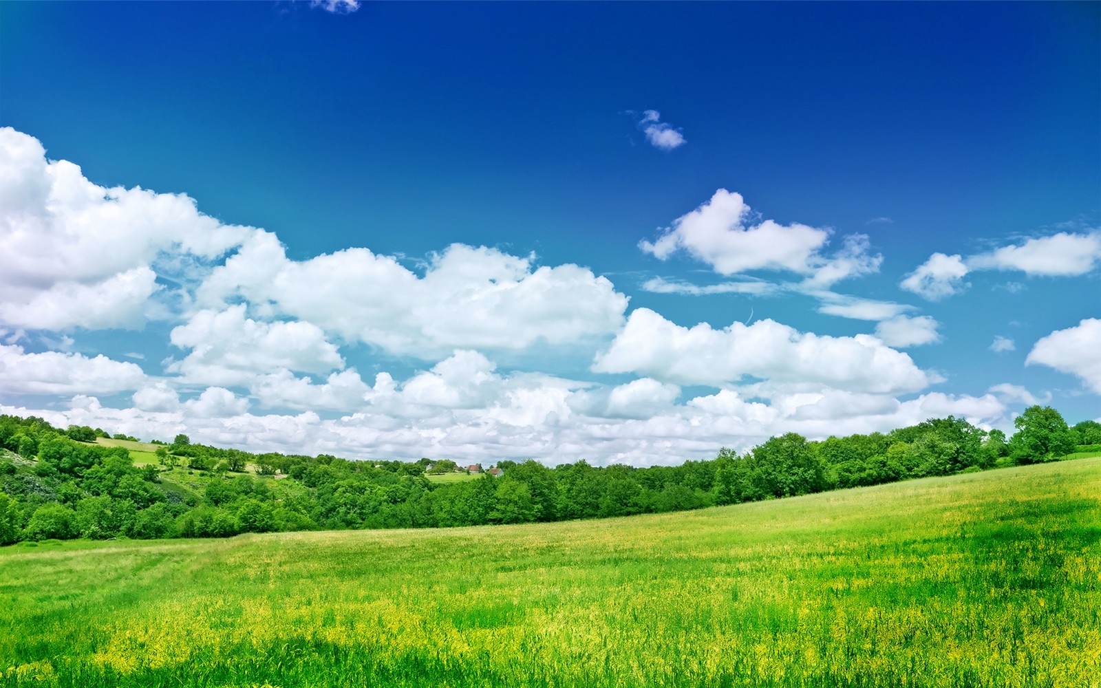 cloud, nature, sky, plain, ecosystem wallpaper