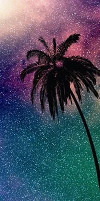 Cielo estrellado colorido con palmera en silueta