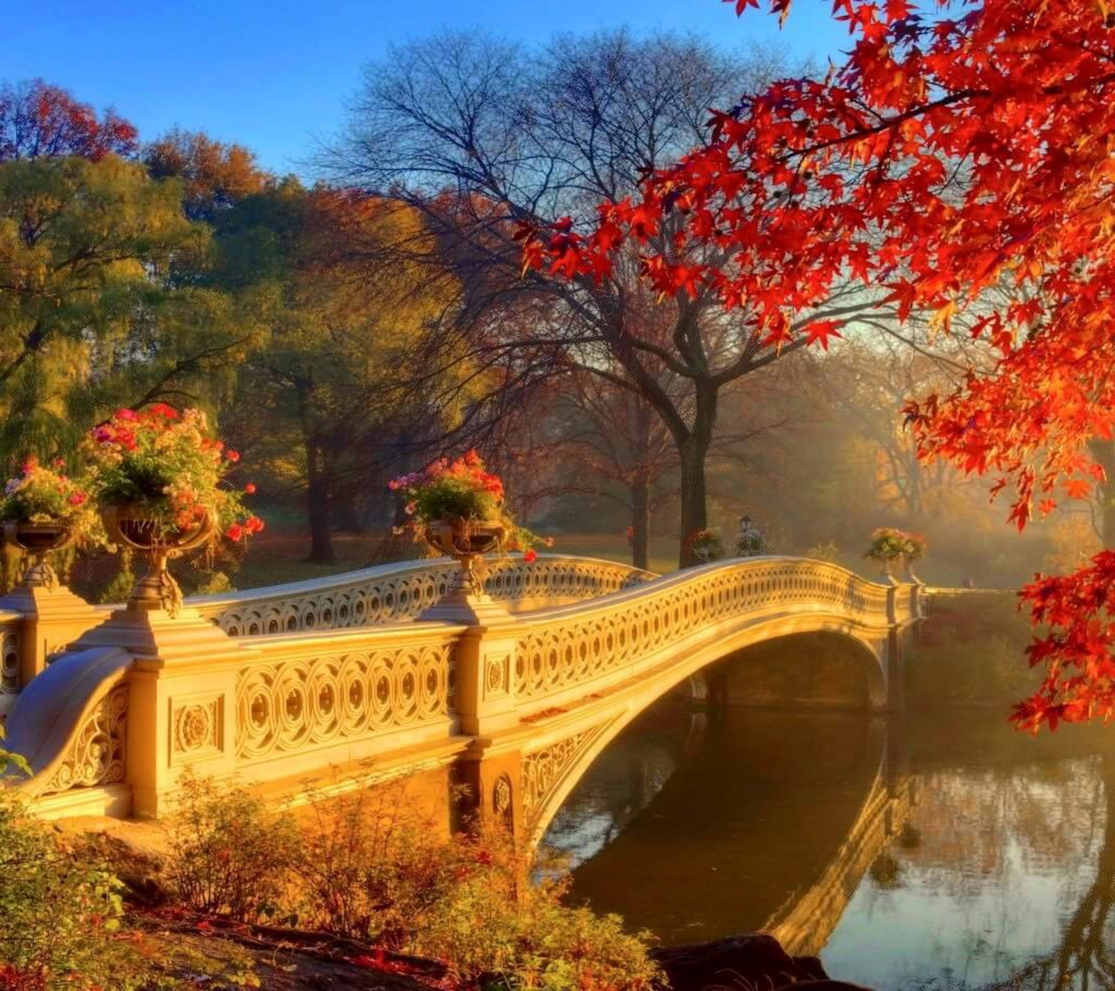 A close up of a bridge over a body of water with trees in the background (beautiful, nature)