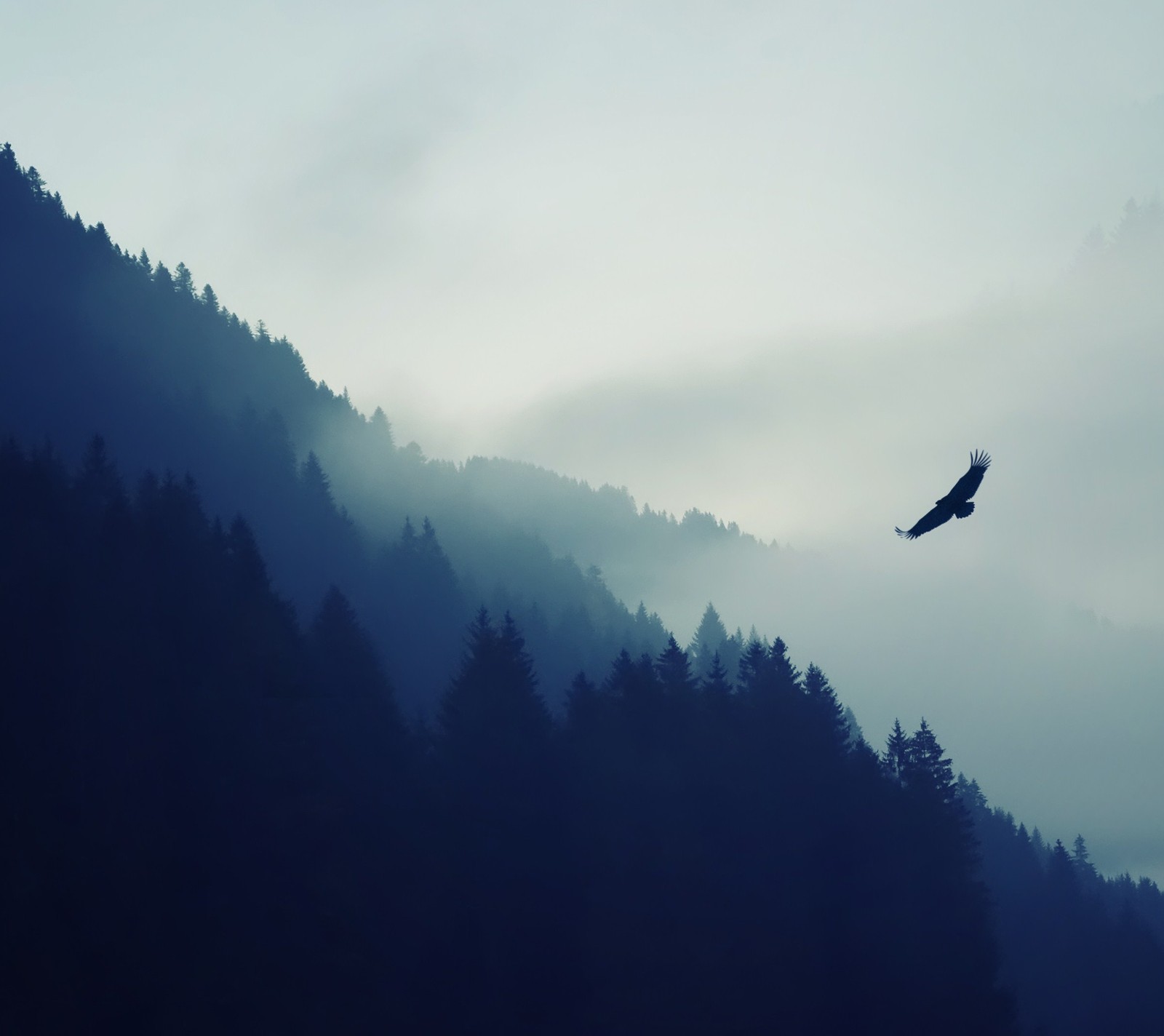 There is a bird flying over a mountain with trees in the background (4k, bird, clouds, fog, hills)