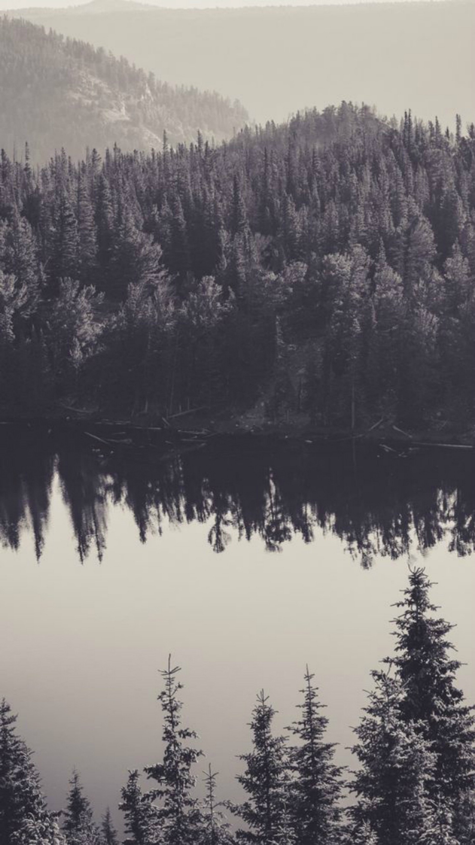 Des arbres au premier plan d'un lac et d'une montagne (noir, photo, blanc)