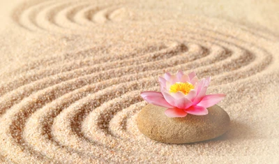 Flor de lótus em padrões de areia serena