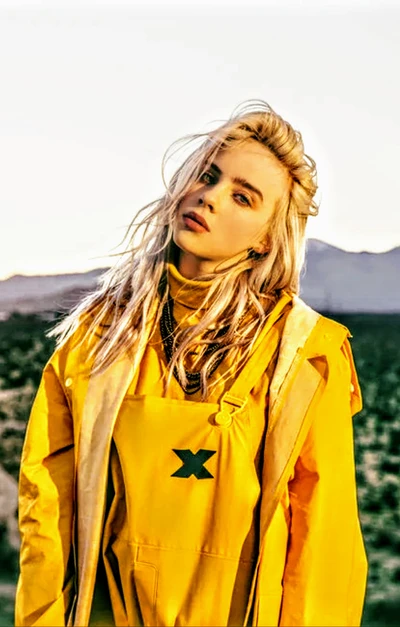 billie eilish, musique, vue, coucher de soleil, brillant