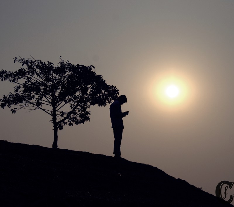 Araffe standing on a hill with a tree and a bird flying in the sky (httpswwwfacebookcom, httpswwwyoutubecom)