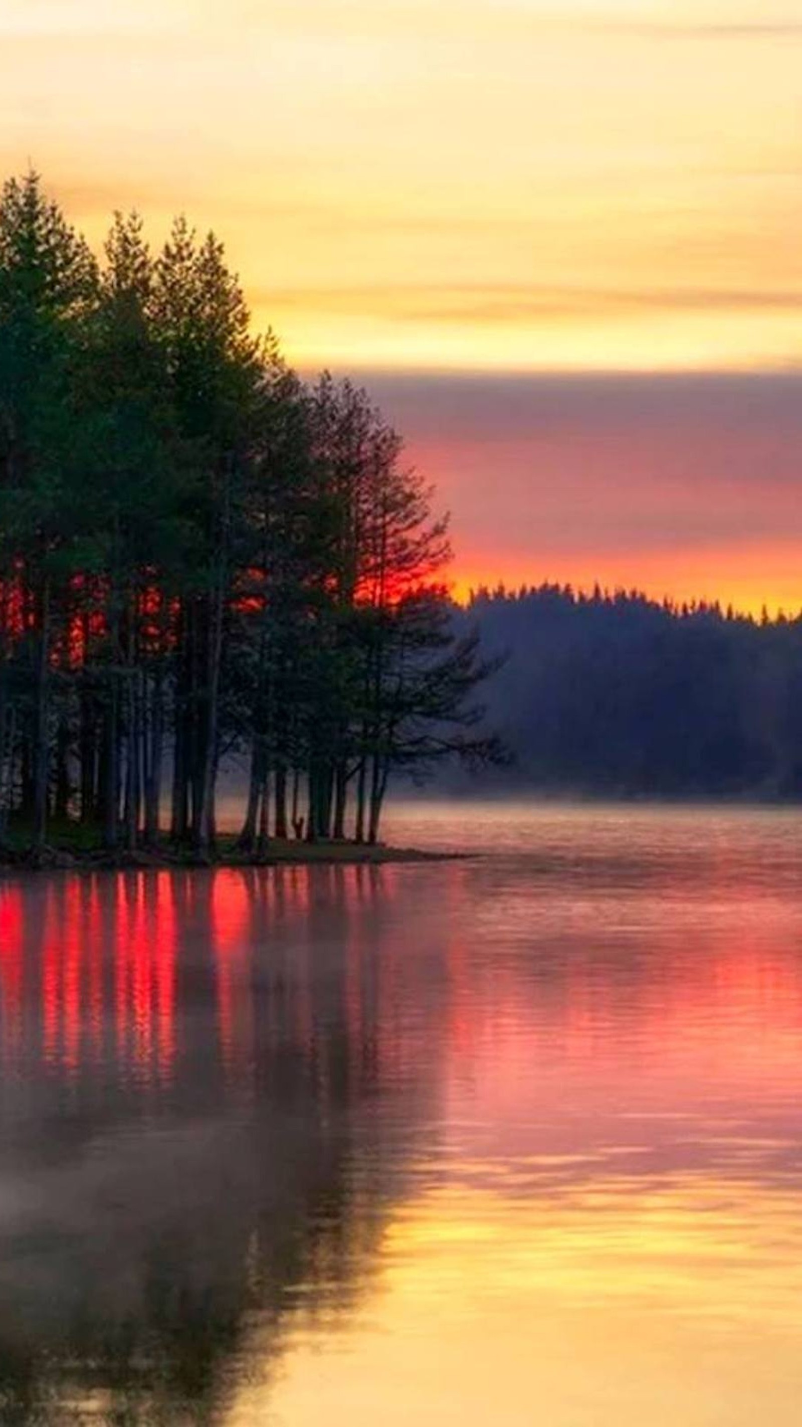 Les arbres sont au premier plan d'un lac avec un coucher de soleil en arrière-plan (coloré, lac, nature, coucher de soleil)