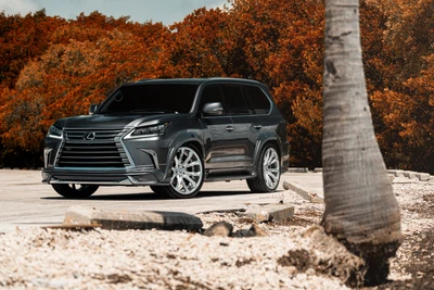 Lexus SUV with Custom Wheels in Scenic Outdoor Setting