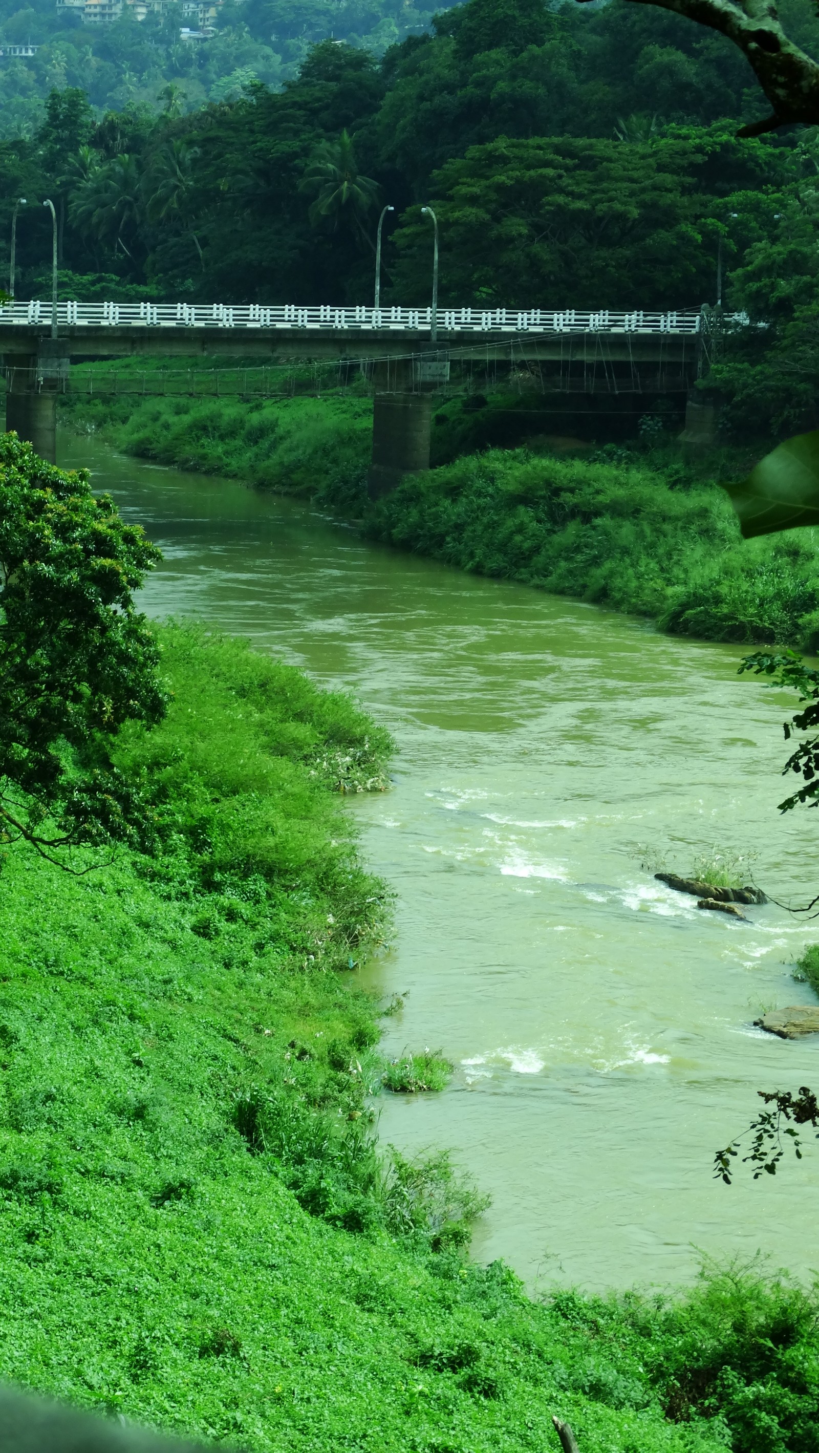 There is a train that is going over a bridge over a river (bridge, calm, gloomy, green, hd)